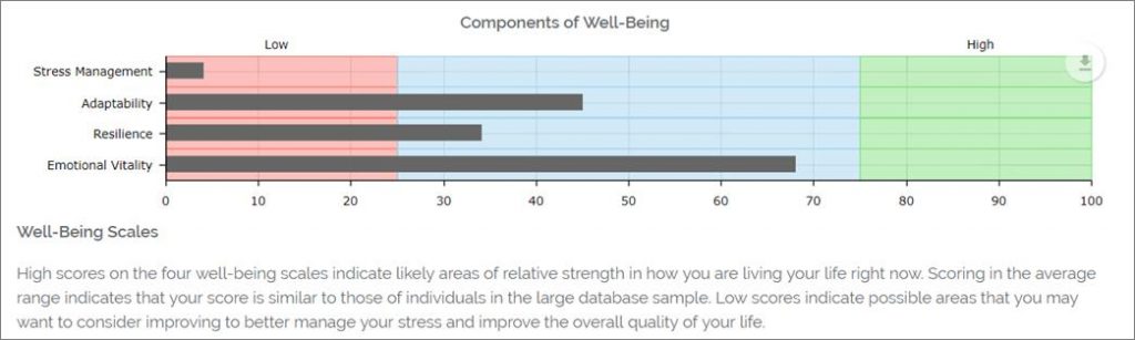 Stress and Well-Being Assessment: Well-Being